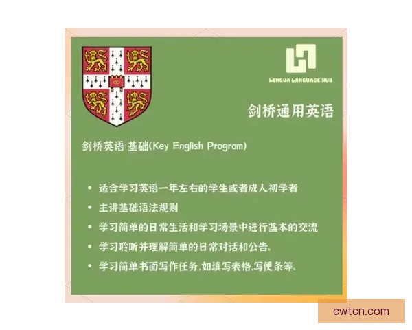 VS英文版全解析：从语法到实用技巧的全面指南与应用拓展